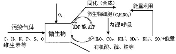 污染物的轉(zhuǎn)化機(jī)理